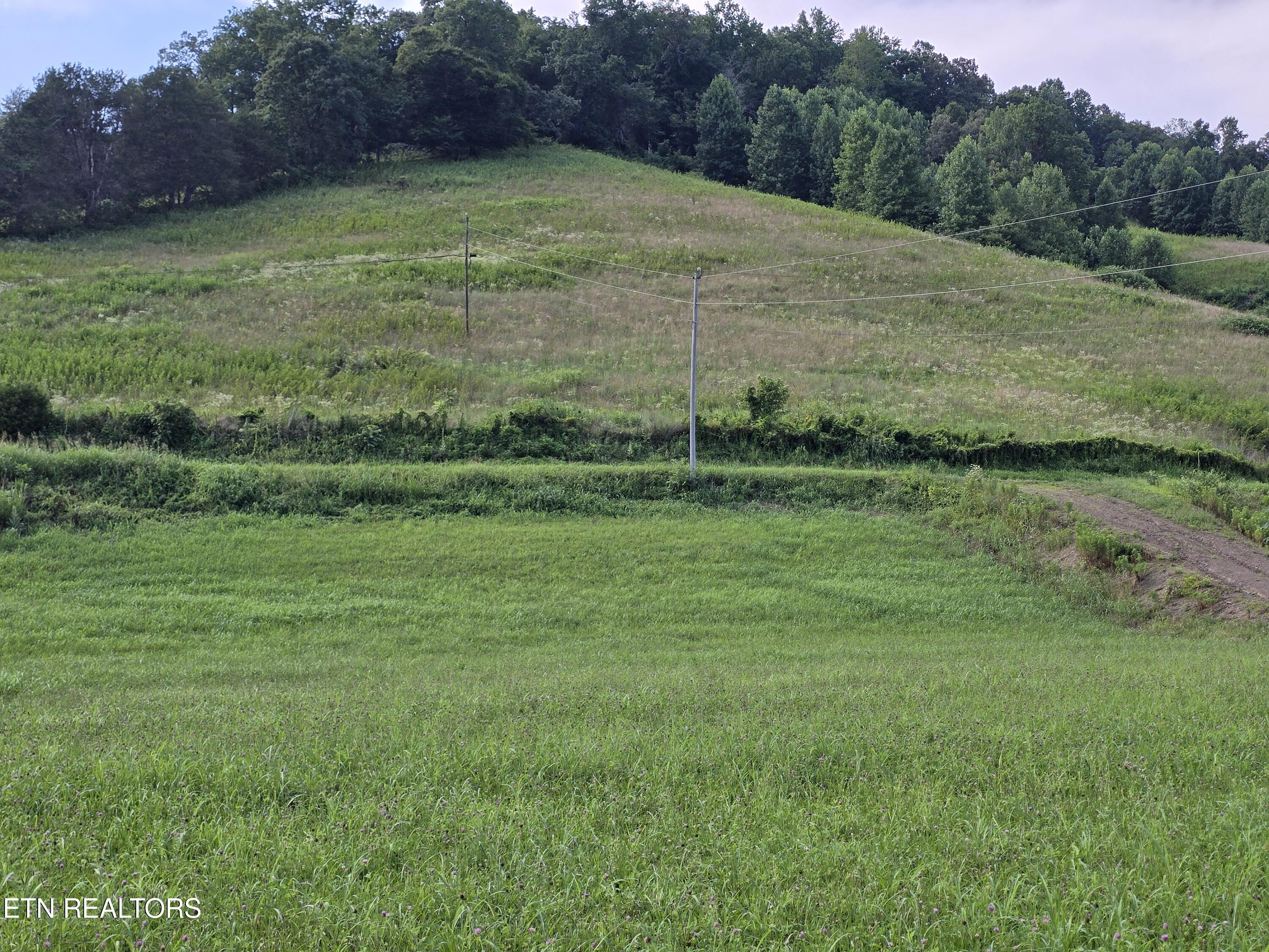 Tbd Caney Valley Road Sneedville, TN 37869 - Photo 11 of 20 20260707_171144