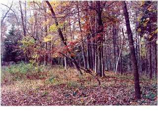 8 Albert Moore Road, Unit 8 Lockport, KY 40036 - Photo 1 of 1 Gallery Image 1