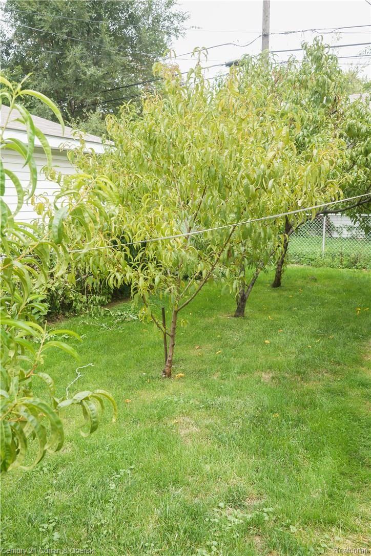 7644 Miller Road Dearborn, MI 48126 - Photo 23 of 33 31 - back yard - peach trees 1 (1).jpg