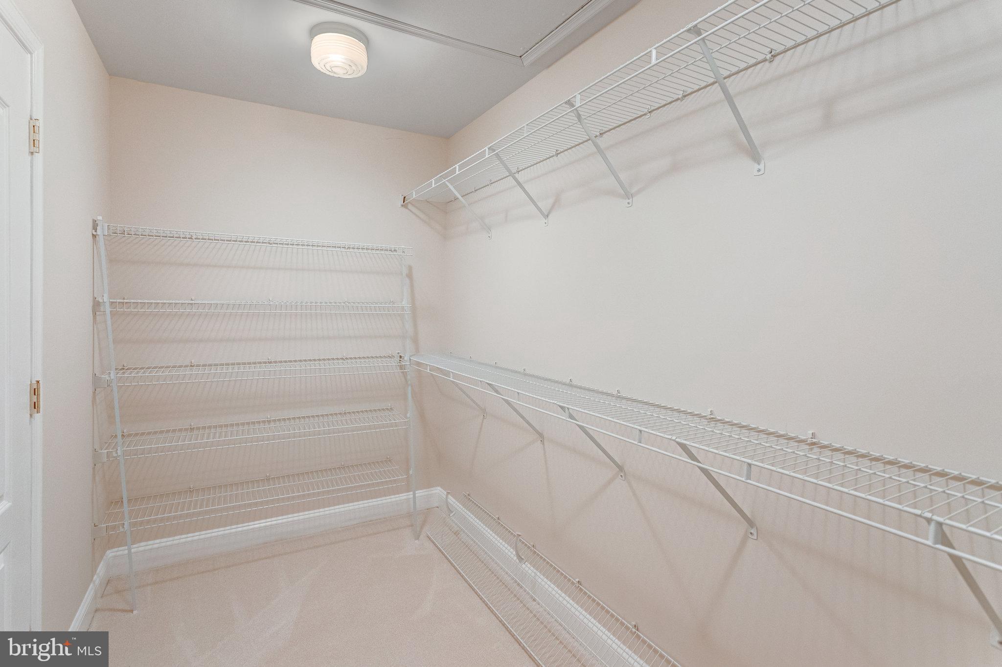 25804 Commons Square Chantilly, VA 20152 - Photo 23 of 48 a view of walk in closet