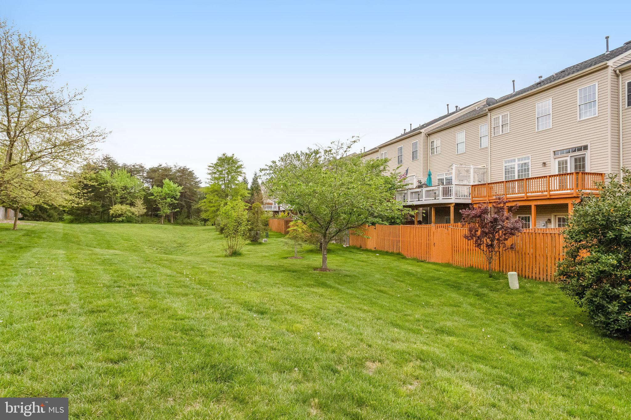 25804 Commons Square Chantilly, VA 20152 - Photo 40 of 48 a backyard of a house with plants and large trees