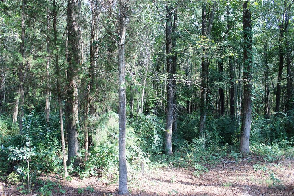 156 East Springdale Road, Unit 3 Rock Hill, SC 29730 - Photo 16 of 18 Gallery Image 16