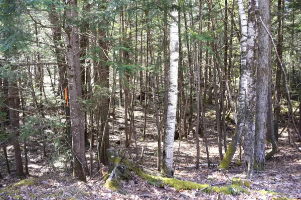 $17,500 | Lot 185 Hanover Drive, Unit 185, Woodsville, NH 03785