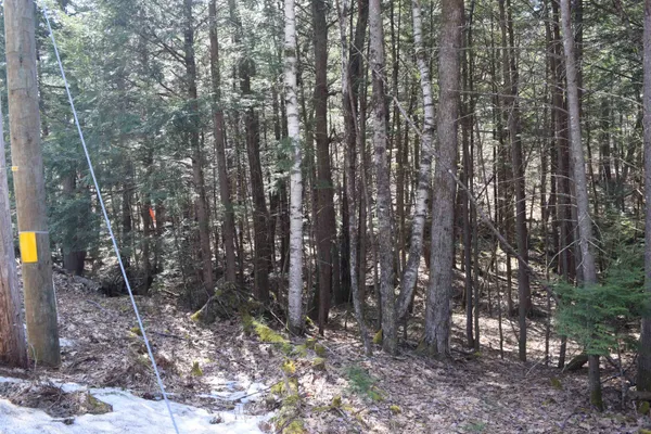 $17,500 | Lot 185 Hanover Drive, Unit 185, Woodsville, NH 03785