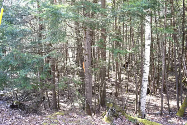 $17,500 | Lot 185 Hanover Drive, Unit 185, Woodsville, NH 03785