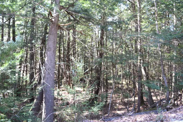 $17,500 | Lot 185 Hanover Drive, Unit 185, Woodsville, NH 03785