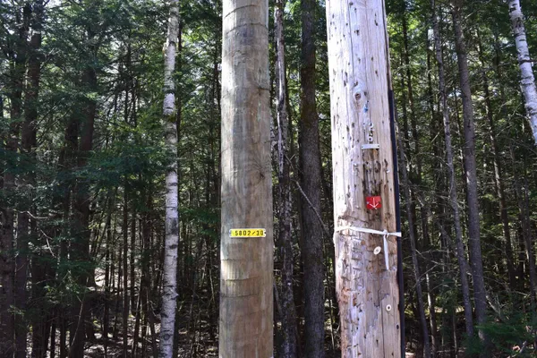$17,500 | Lot 185 Hanover Drive, Unit 185, Woodsville, NH 03785