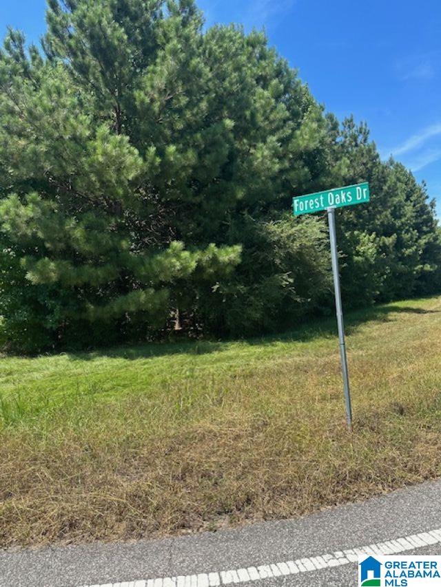 10563 Chelsea Road, Unit 1 Chelsea, AL 35043 - Photo 1 of 4