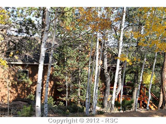 58 Ute Road Florissant, CO 80816 - Photo 3 of 25 Gallery Image 3