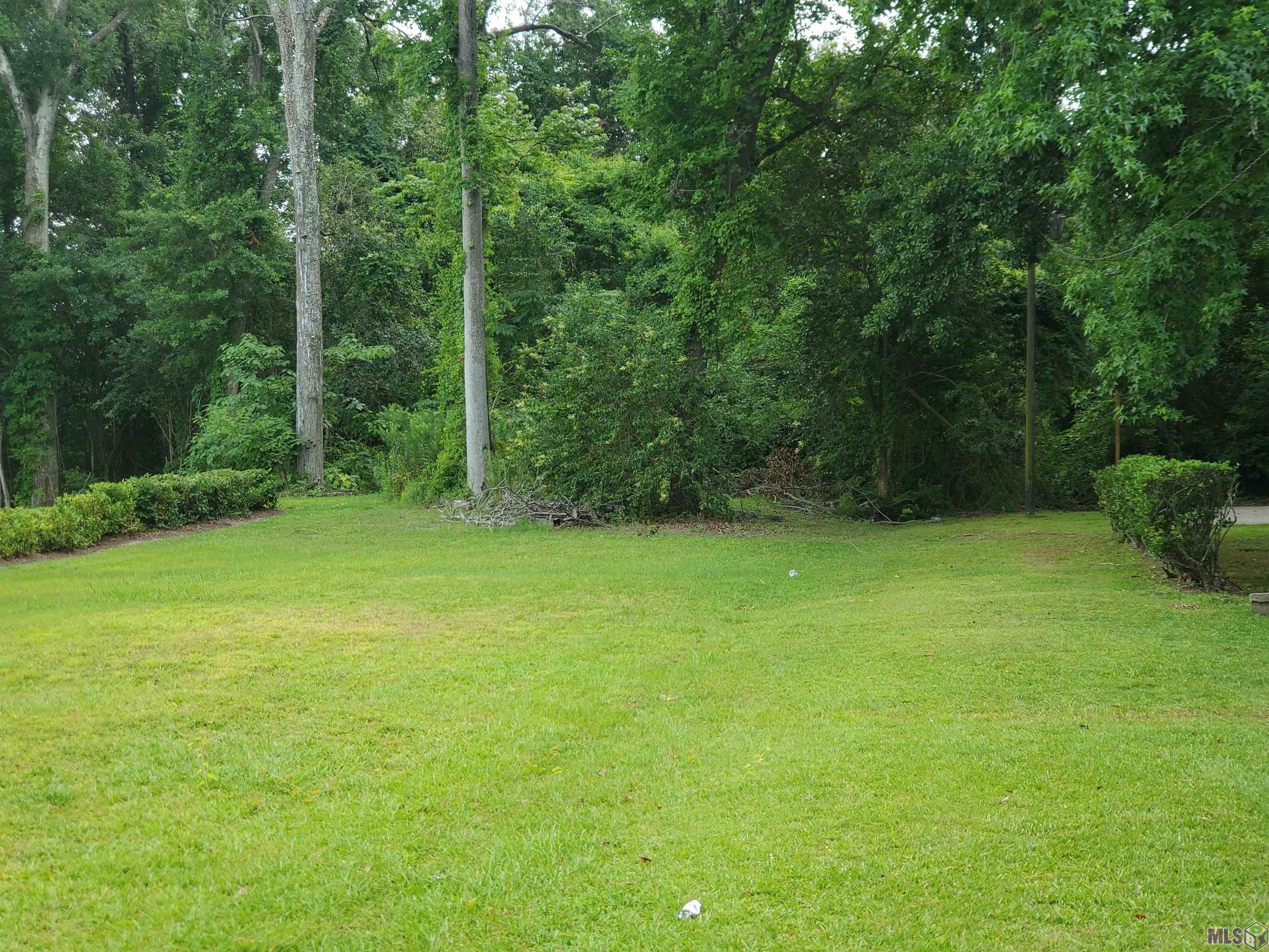 Parcel# 372730 Parcel Boulevard Baton Rouge, LA 70807 - Photo 5 of 5 Gallery Image 5