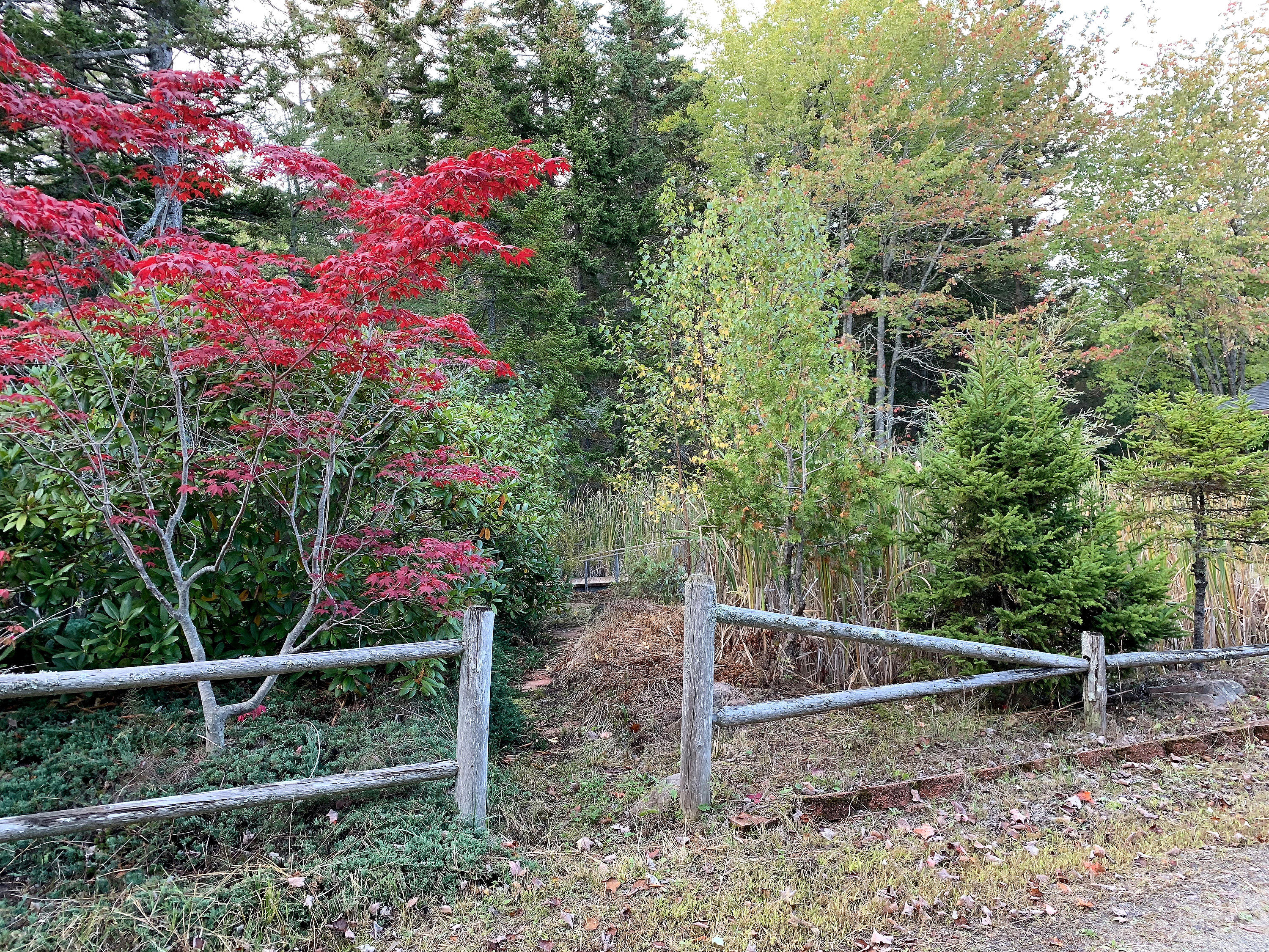 119 Kelleytown Road Bernard, ME 04612 - Photo 23 of 50 119 Kelleytown_020