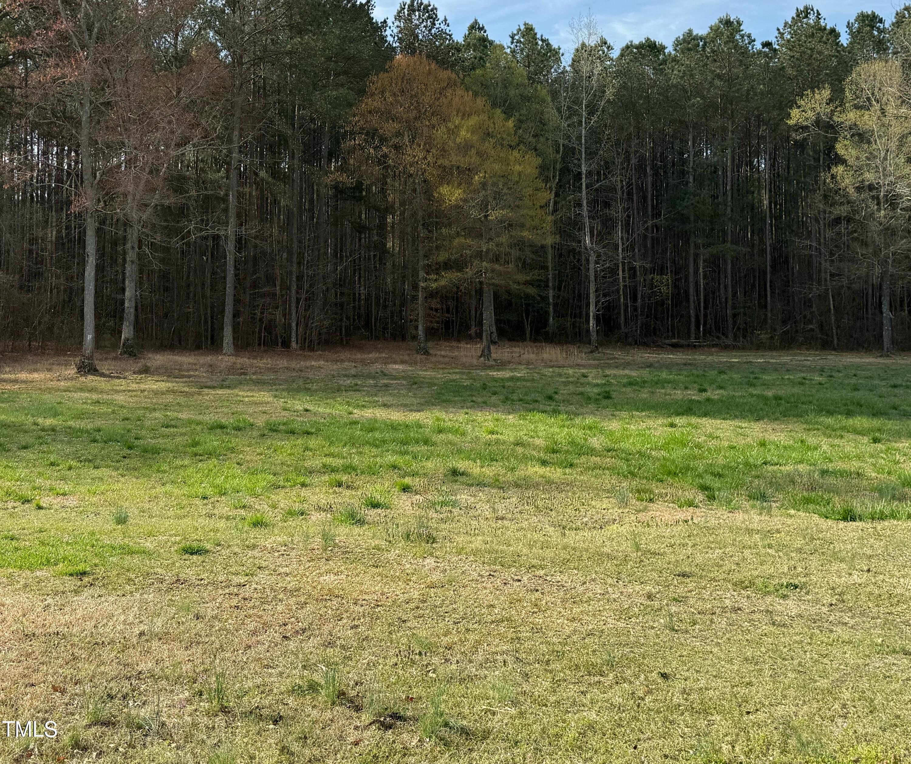 0 Rock Pillar Road Clayton, NC 27520 - Photo 1 of 6 00D3CA76-57E1-4590-A28F-F9EBE5798186