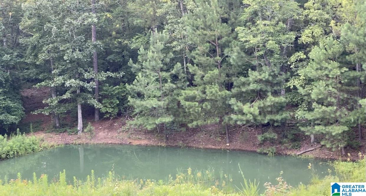3041 Allison Mill Road Talladega, AL 35160 - Photo 31 of 37