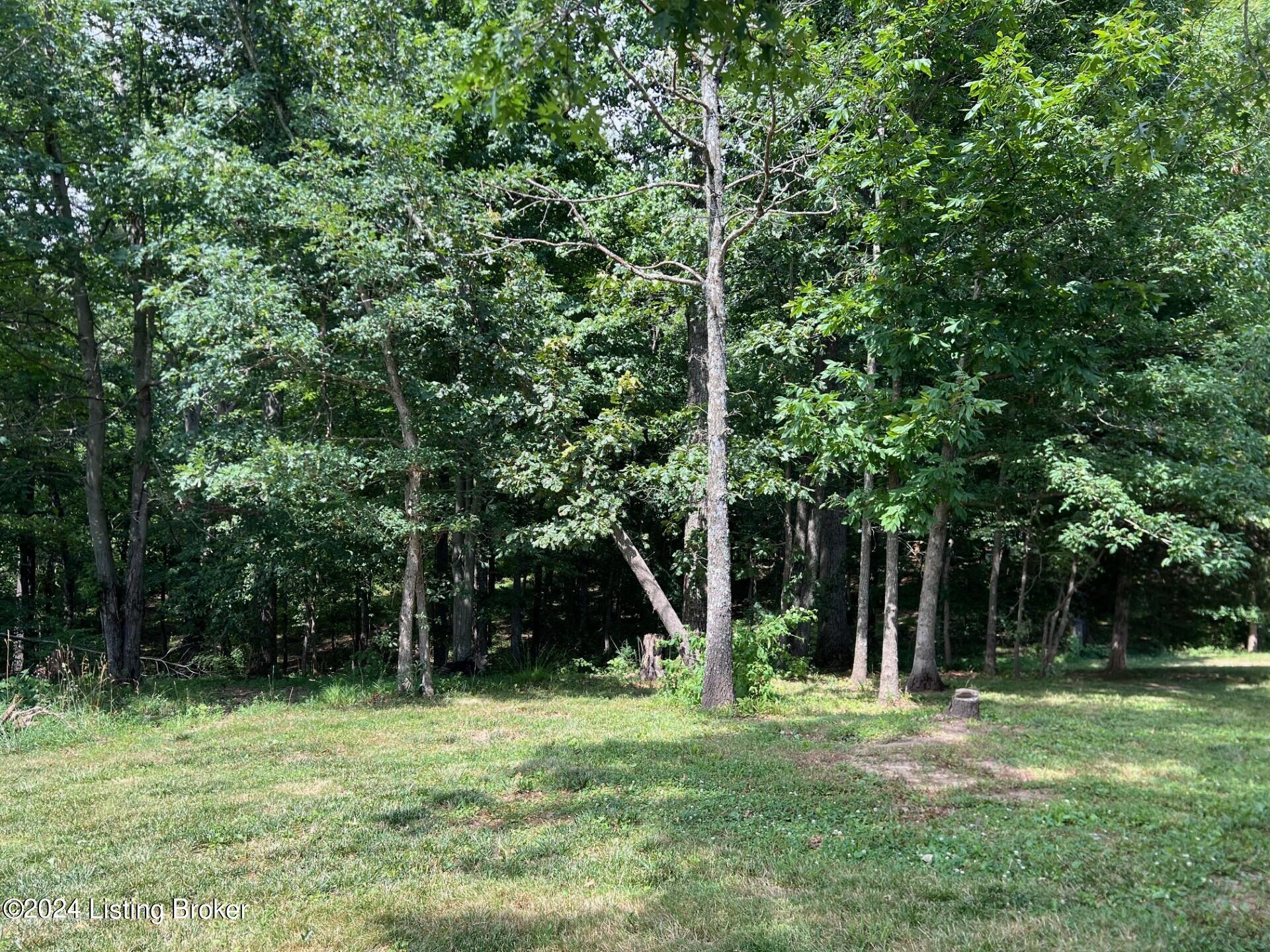 7148 Bailey Road Mount Sherman, KY 42764 - Photo 40 of 41 7148 woods