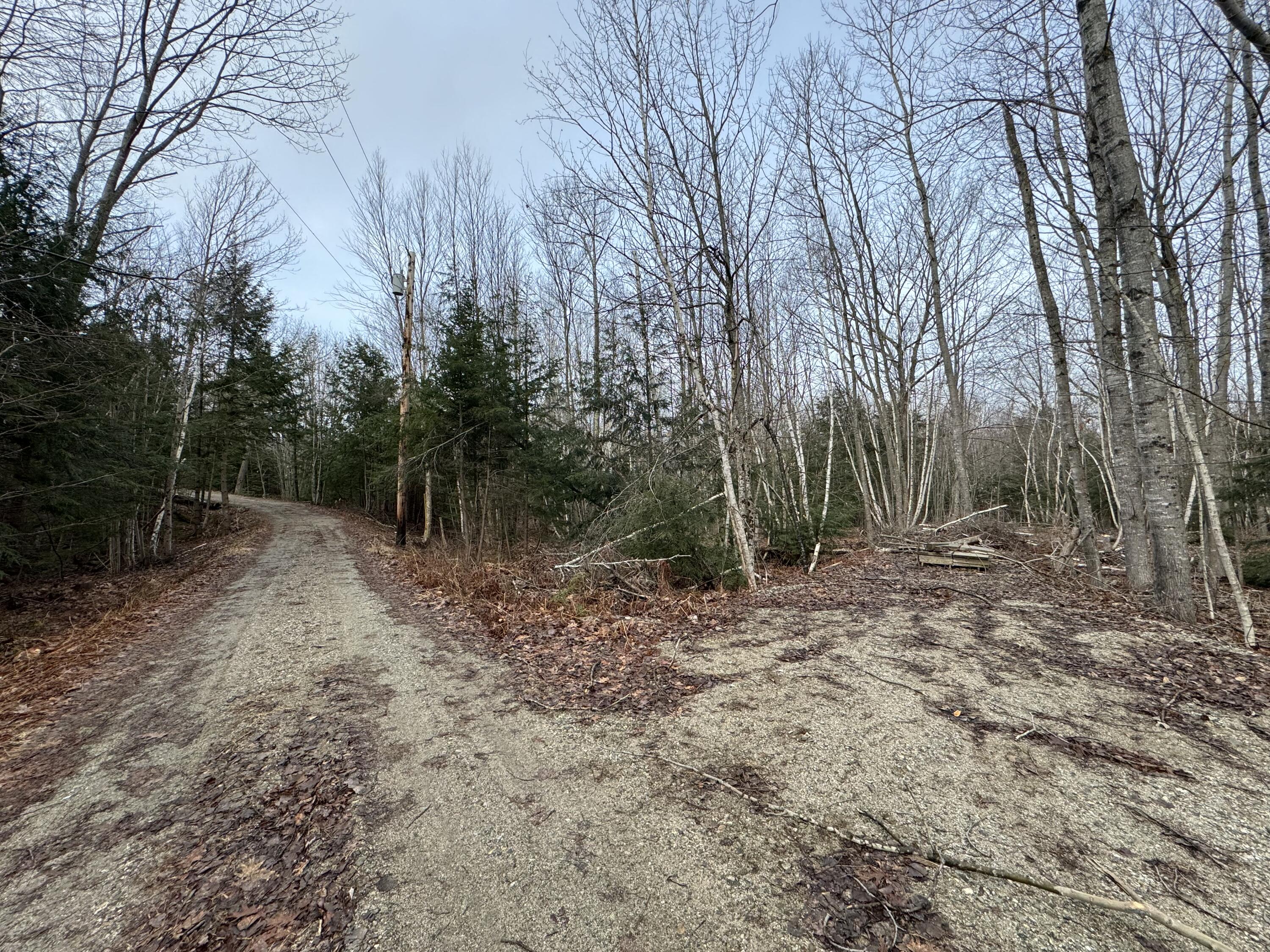 Lot 21 Johnson Road Greene, ME 04236 - Photo 7 of 18 IMG_4081