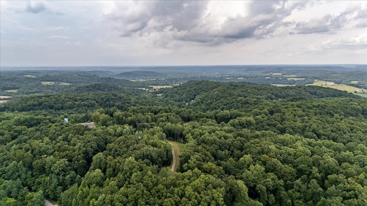 5077 Southpoint Ridge Road Hampshire, TN 38461 - Photo 41 of 47