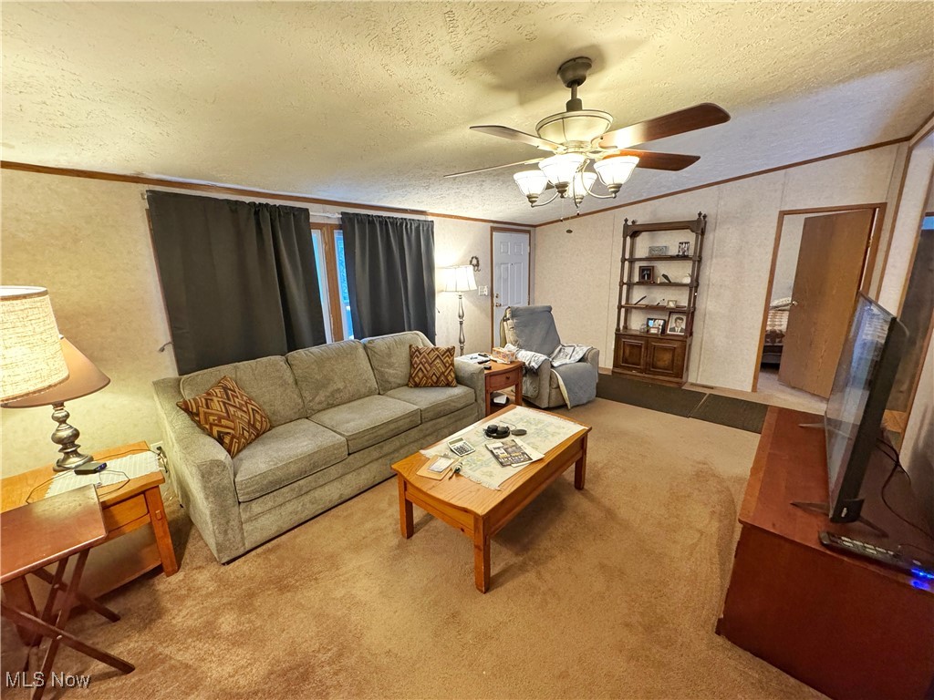 72117 Barton Road Bridgeport, OH 43912 - Photo 5 of 42 Living area with a textured ceiling, carpet floors, ceiling fan, and crown molding