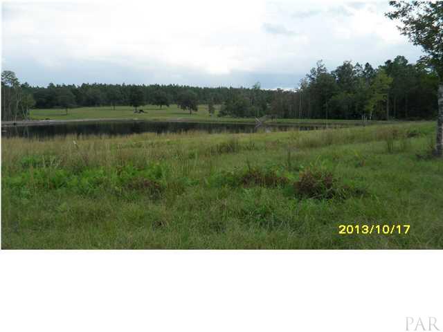 31773 Narrow Road Seminole, AL 36574 - Photo 23 of 25 VIEW OF THE LAKE FROM FRONT YARD