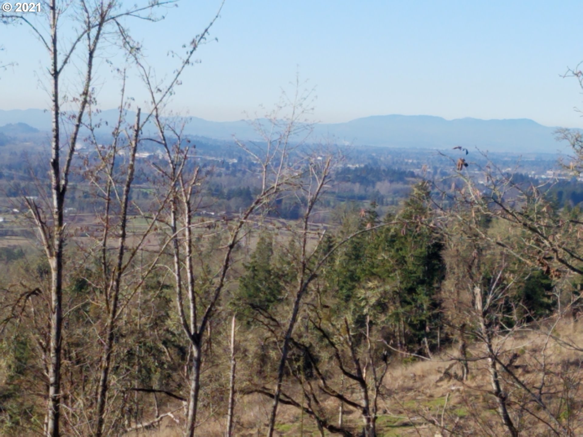 a view of mountain view with lots of trees