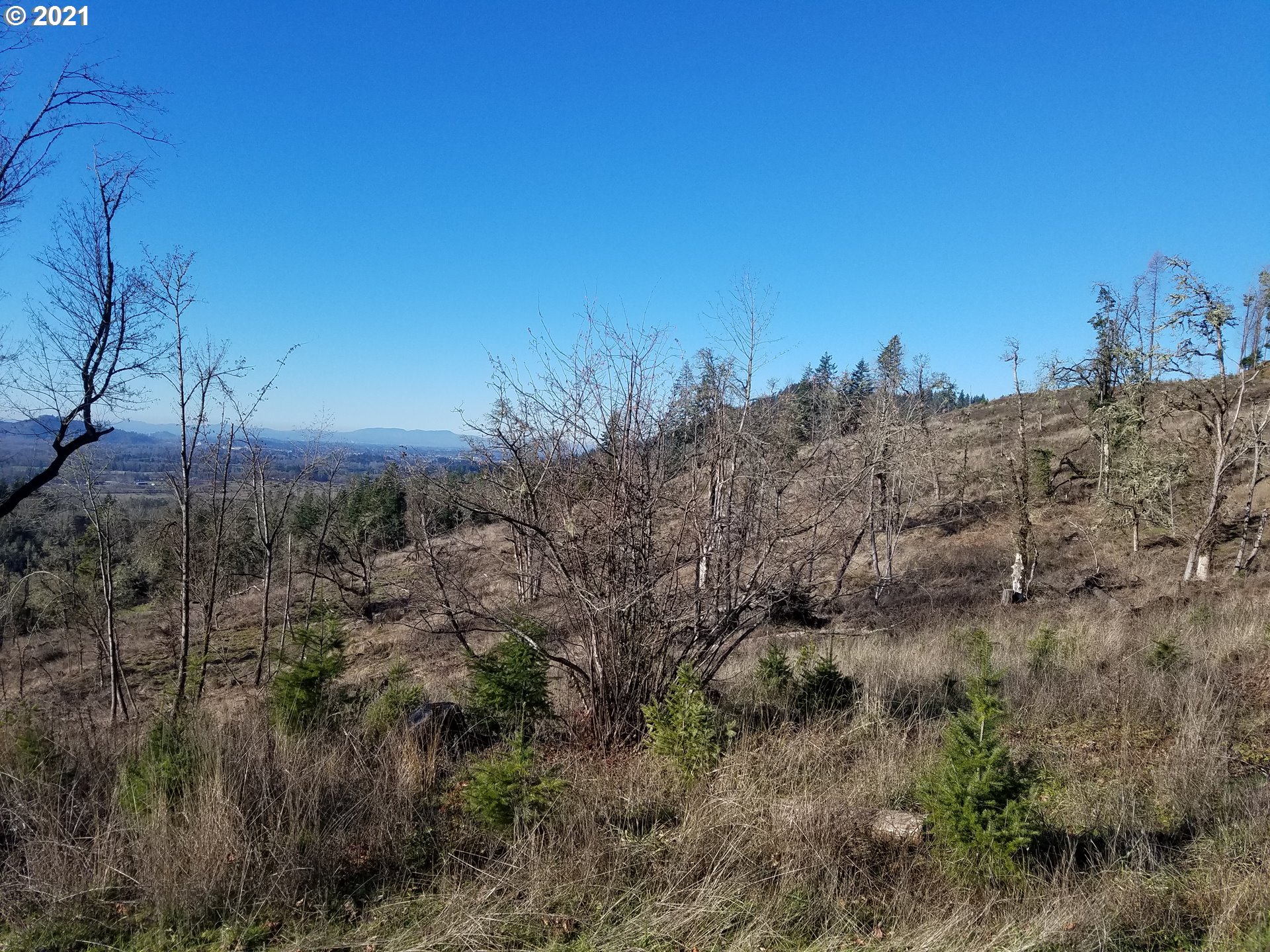 5 R R R.R. Baker Road Springfield, OR 97478 - Photo 11 of 29 a view of a field