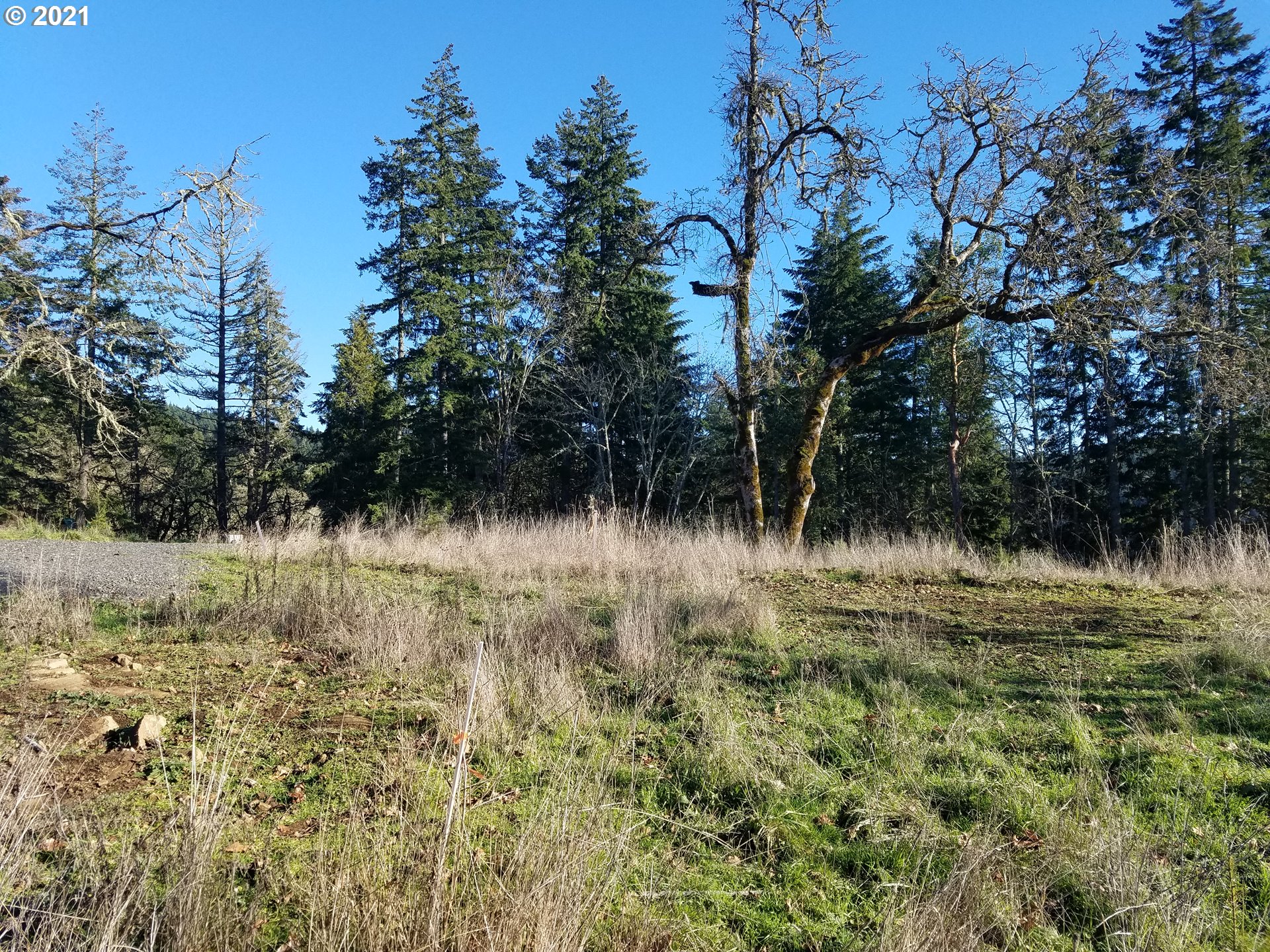 5 R R R.R. Baker Road Springfield, OR 97478 - Photo 12 of 29 a view of a lake view