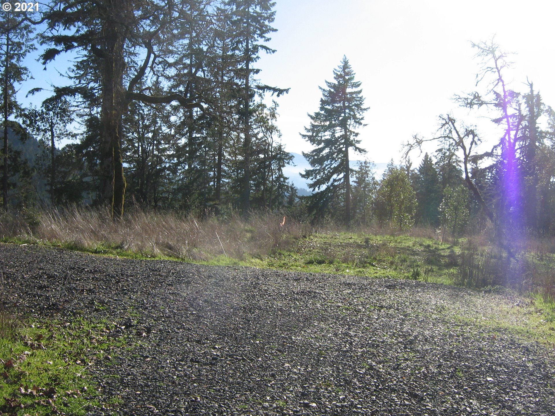 5 R R R.R. Baker Road Springfield, OR 97478 - Photo 16 of 29 a view of a lake with a yard