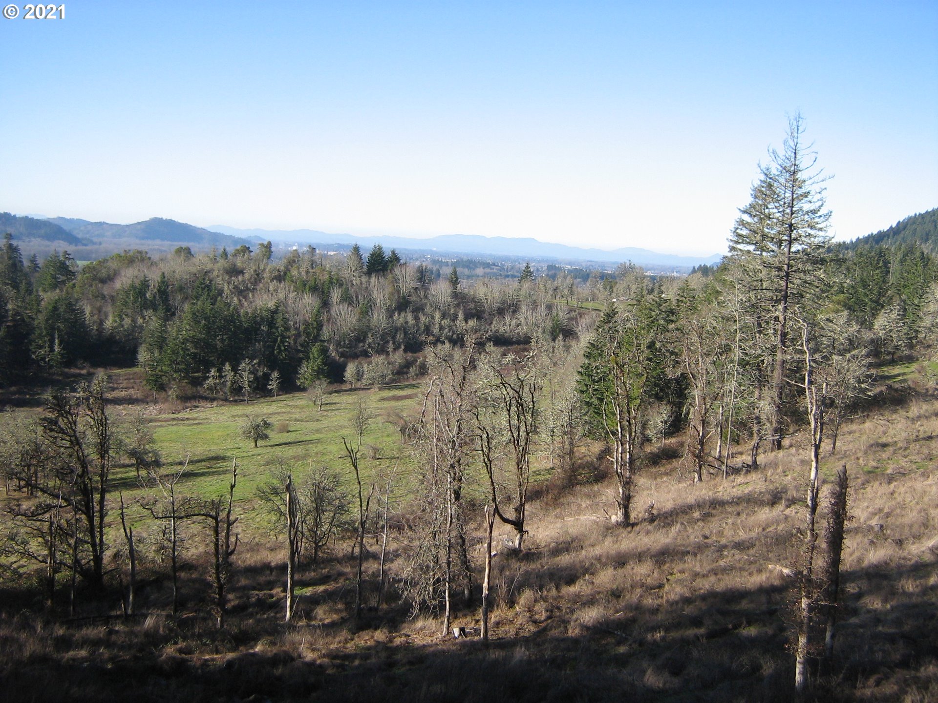 5 R R R.R. Baker Road Springfield, OR 97478 - Photo 19 of 29 a view of a outdoor space with mountain view