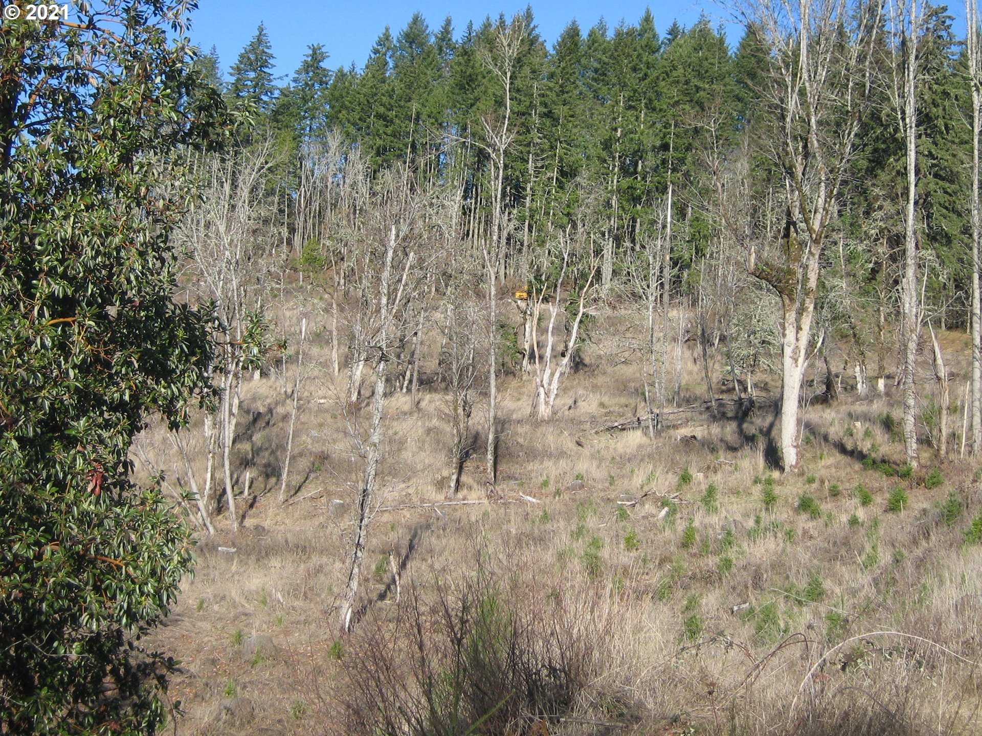 5 R R R.R. Baker Road Springfield, OR 97478 - Photo 20 of 29 a view of a pathway of a building