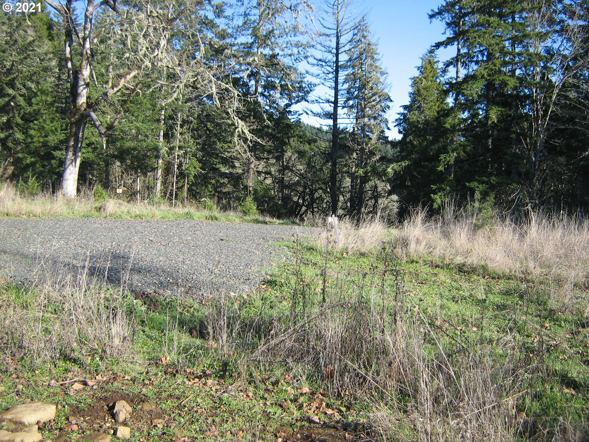 5 R R R.R. Baker Road Springfield, OR 97478 - Photo 24 of 29 a view of a yard with a tree