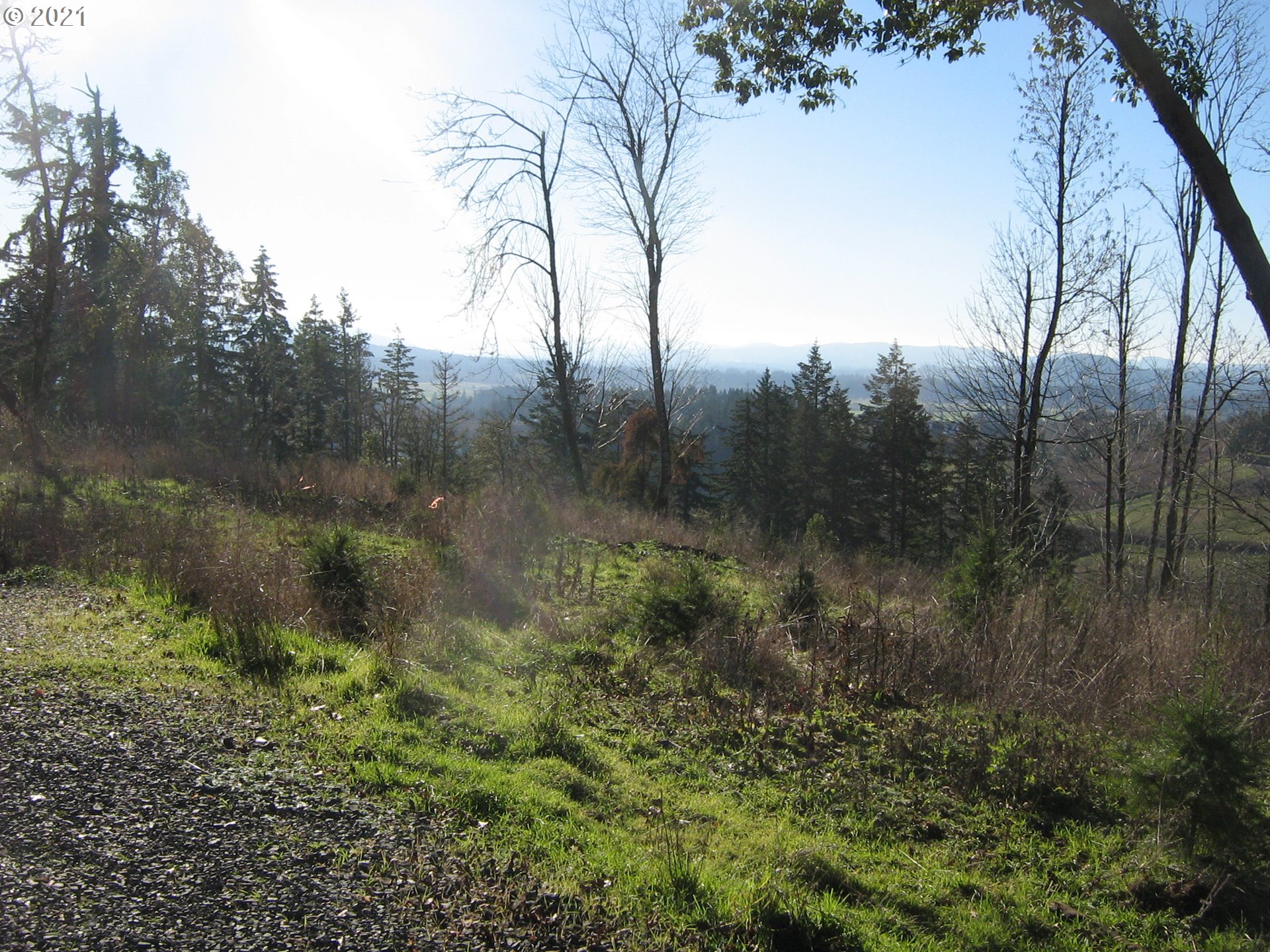 5 R R R.R. Baker Road Springfield, OR 97478 - Photo 25 of 29 a view of lake with green space