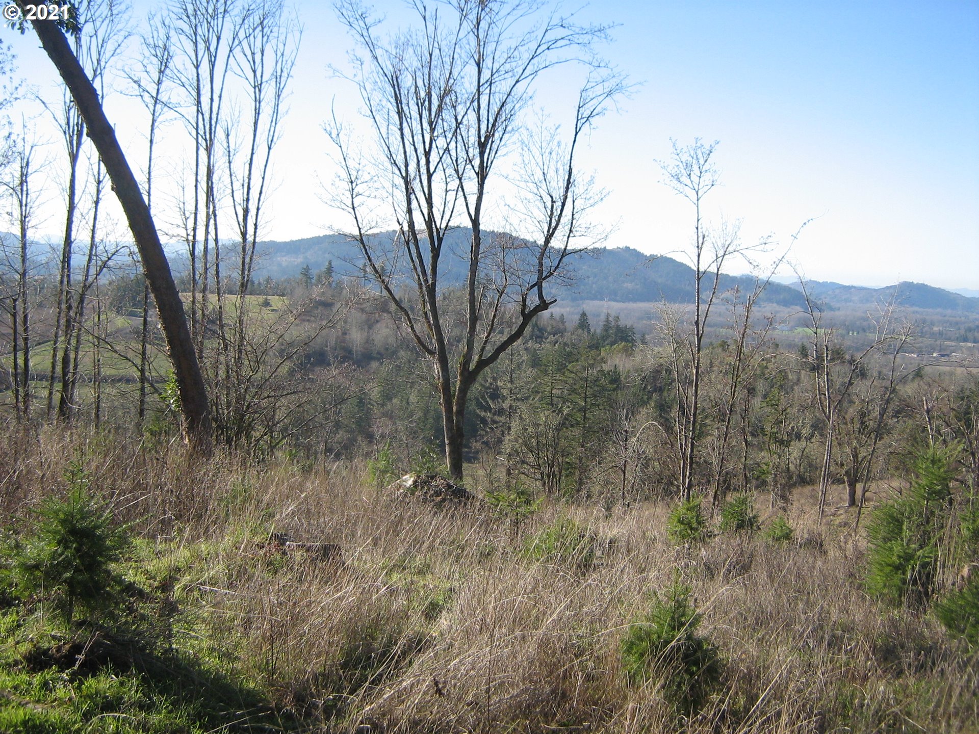 5 R R R.R. Baker Road Springfield, OR 97478 - Photo 26 of 29 a view of mountain view with trees in the background