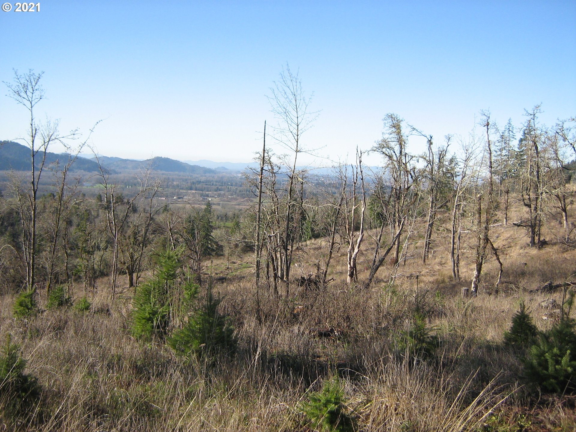 5 R R R.R. Baker Road Springfield, OR 97478 - Photo 27 of 29 a view of mountain view with lots of trees