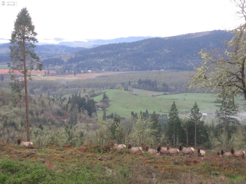 5 R R R.R. Baker Road Springfield, OR 97478 - Photo 29 of 29 a view of a lake with mountains in the background