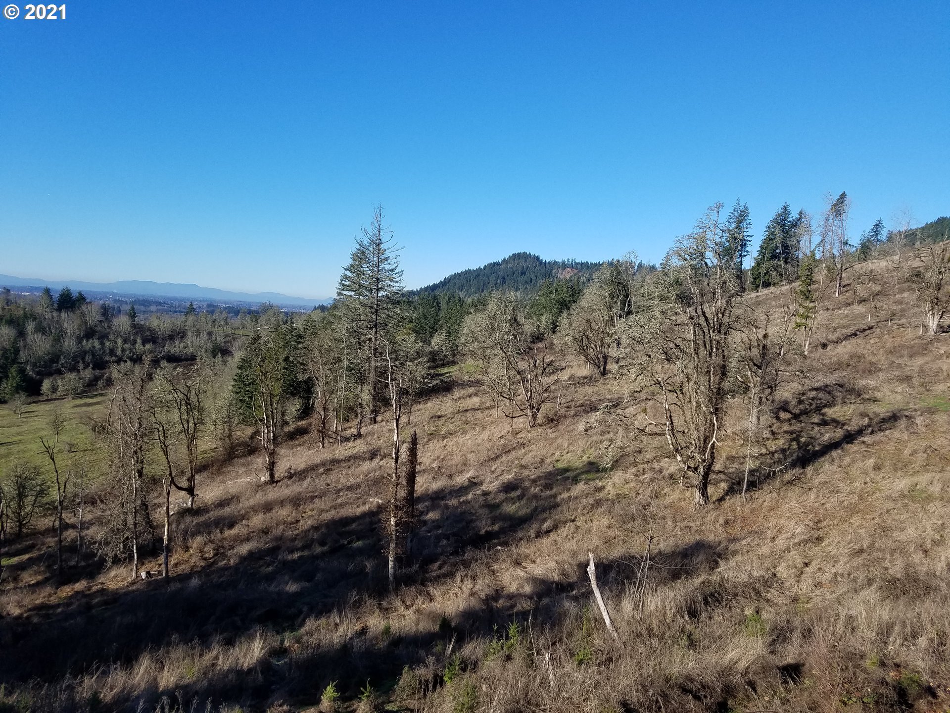 5 R R R.R. Baker Road Springfield, OR 97478 - Photo 5 of 29 a view of a yard with a mountain in the background
