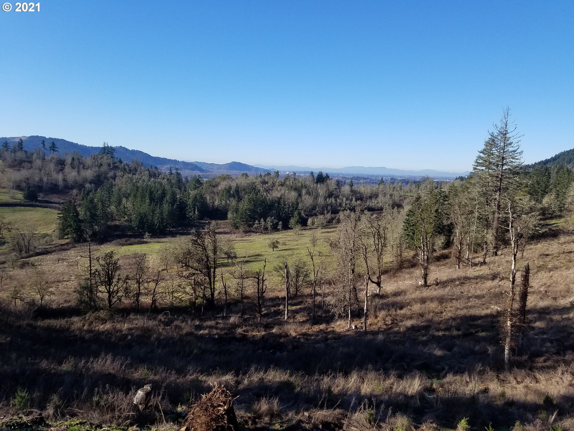 5 R R R.R. Baker Road Springfield, OR 97478 - Photo 6 of 29 a view of a town with mountains in the background