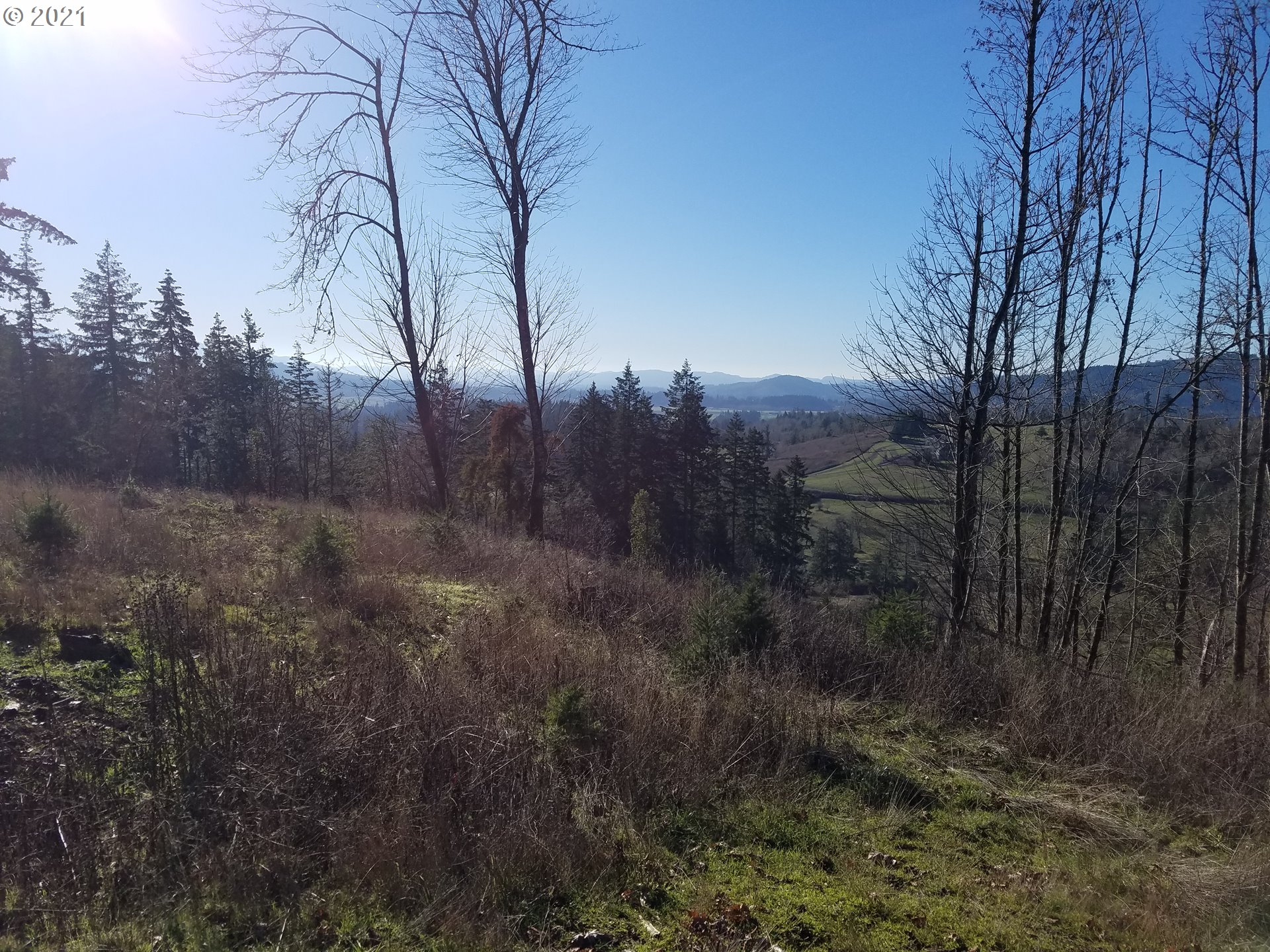 5 R R R.R. Baker Road Springfield, OR 97478 - Photo 9 of 29 a view of a backyard of the house