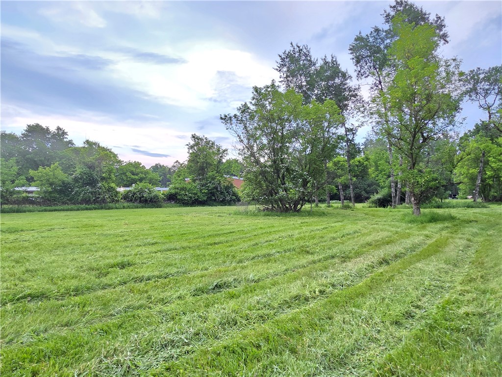 9169 Presho School Road Lindley, NY 14870 - Photo 9 of 13