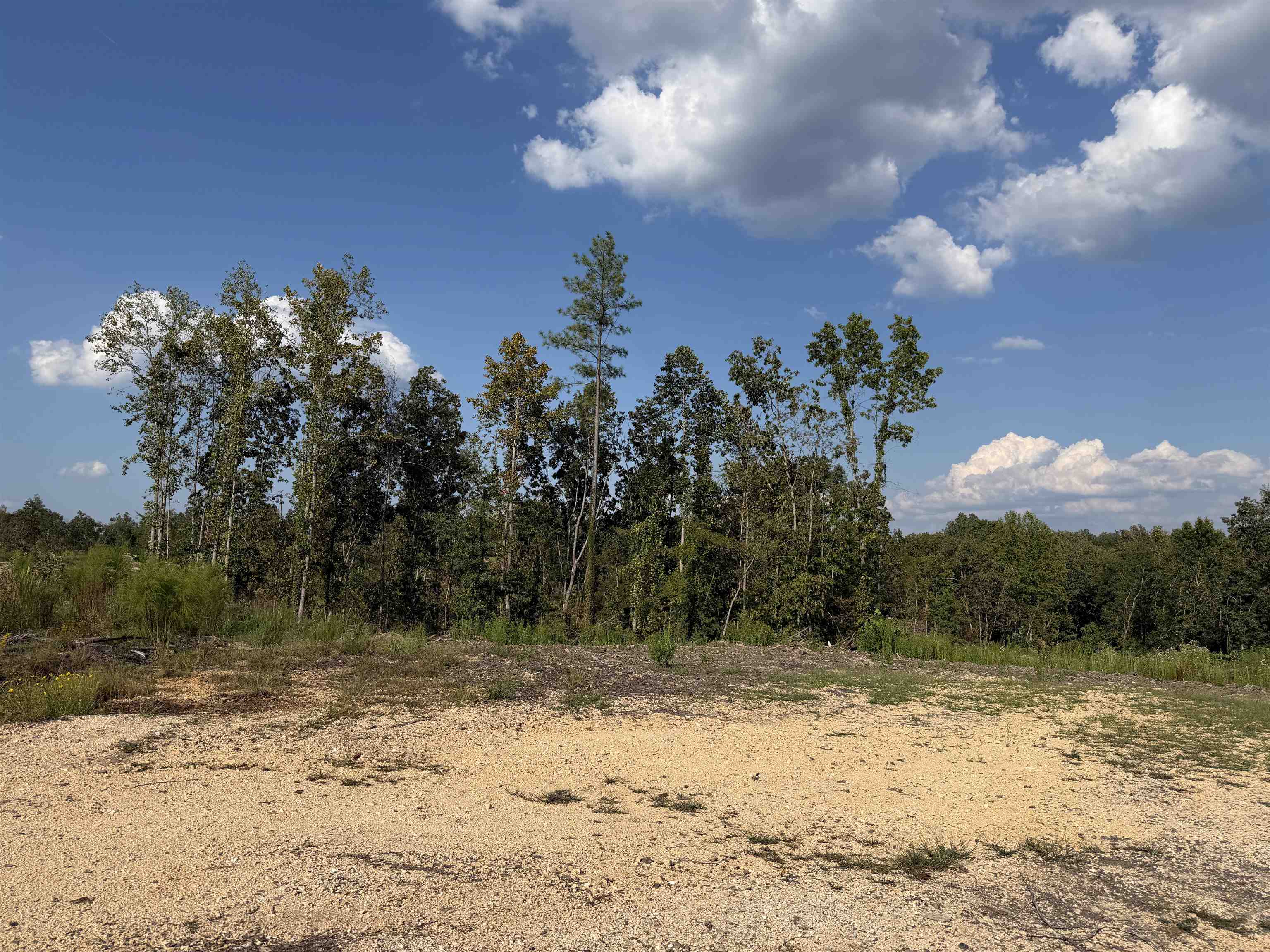 2026 Low Gap Road Sugar Tree, TN 38380 - Photo 5 of 19 Gallery Image 5