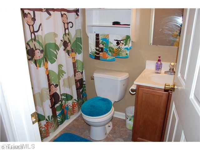 185 North Bridgewater Road Mount Airy, NC 27030 - Photo 14 of 16 Other Bath.