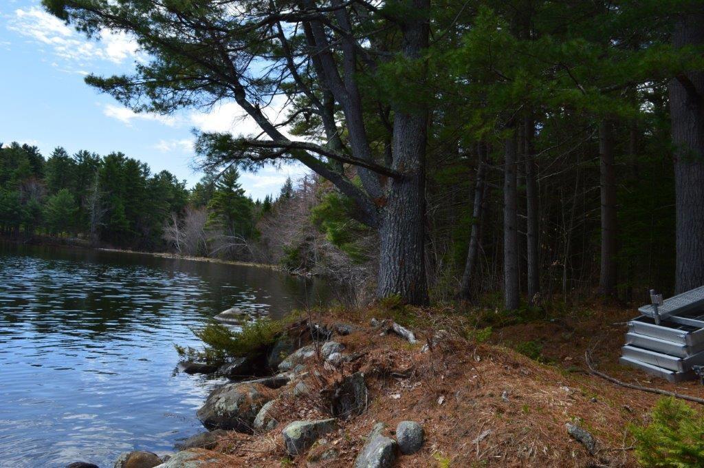 54 Ward Road North Monmouth, ME 04265 - Photo 2 of 16 Photo