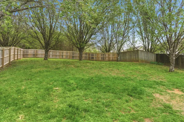 a view of a yard with trees