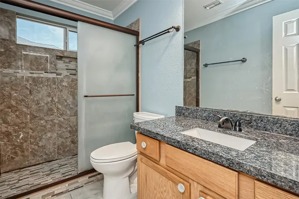a bathroom with a granite countertop sink toilet and shower