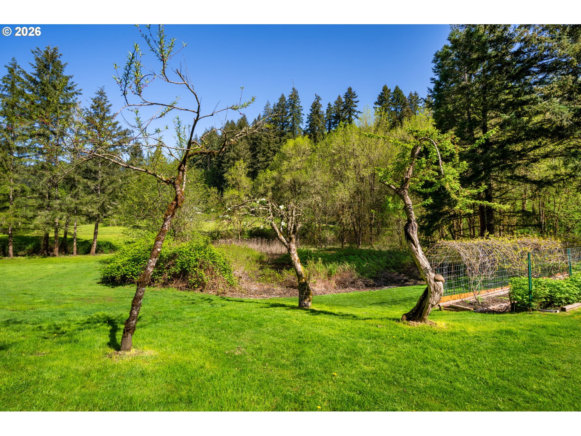 2838 Lewis River Road Woodland, WA 98674 - Photo 34 of 48