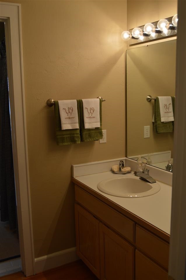 10977 Luna Point Road Tallahassee, FL 32312 - Photo 5 of 25 Gallery Image 5
