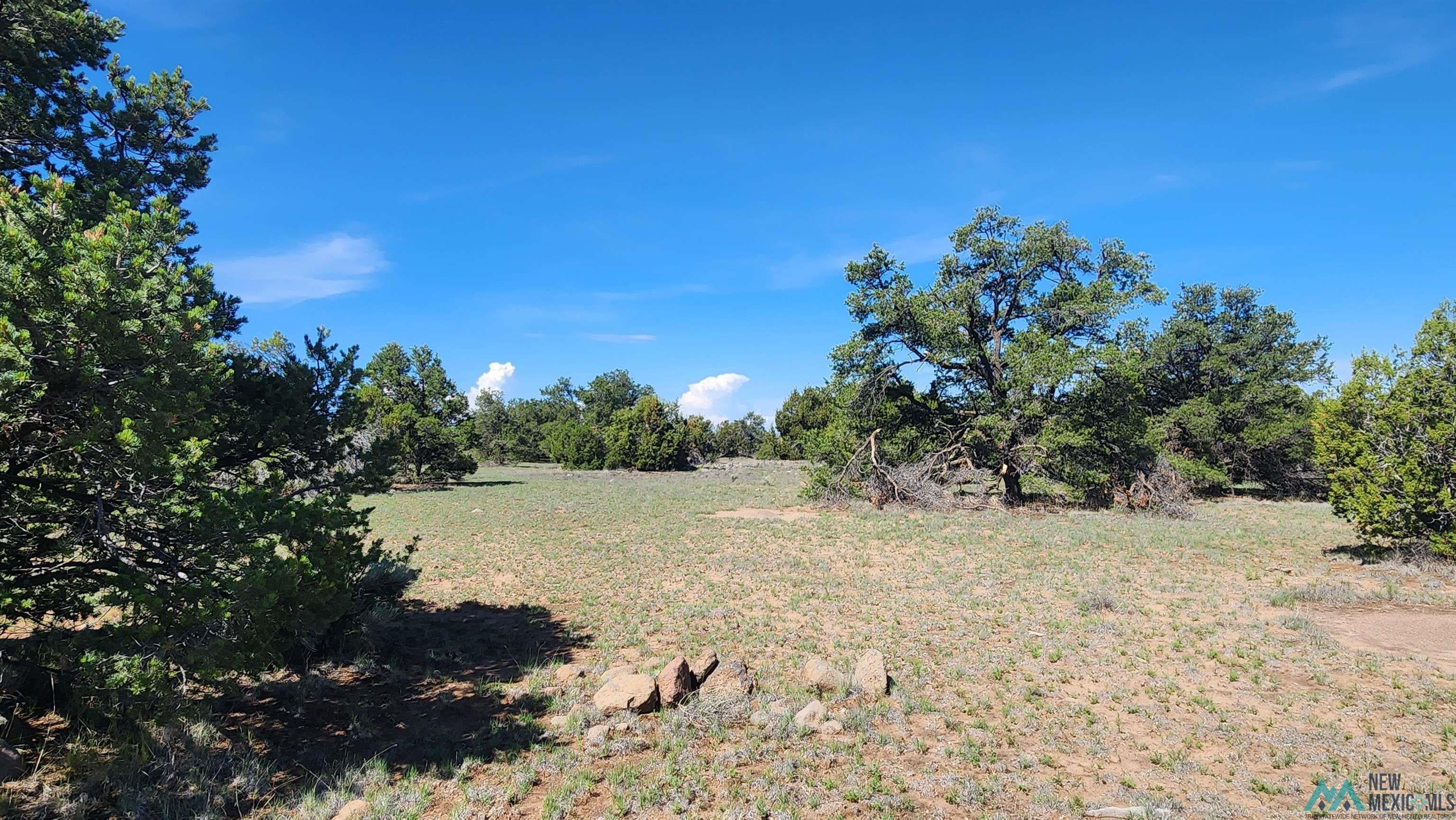 Tbd Tbd Tonto Road Quemado, NM 87829 - Photo 1 of 9