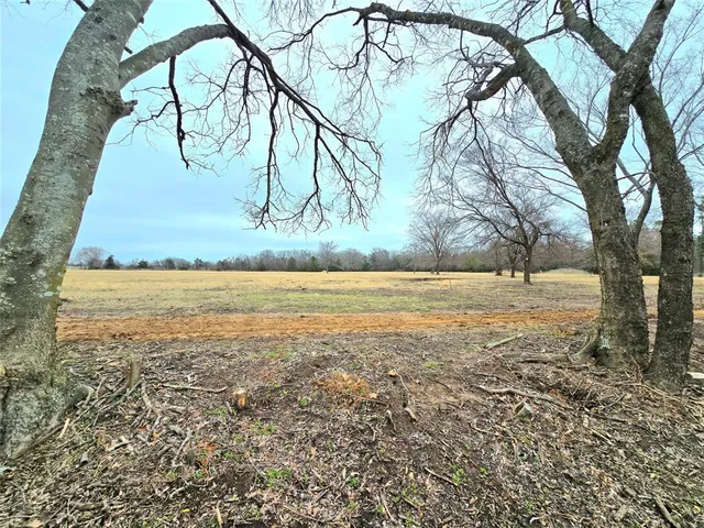 a view of a yard with an tree