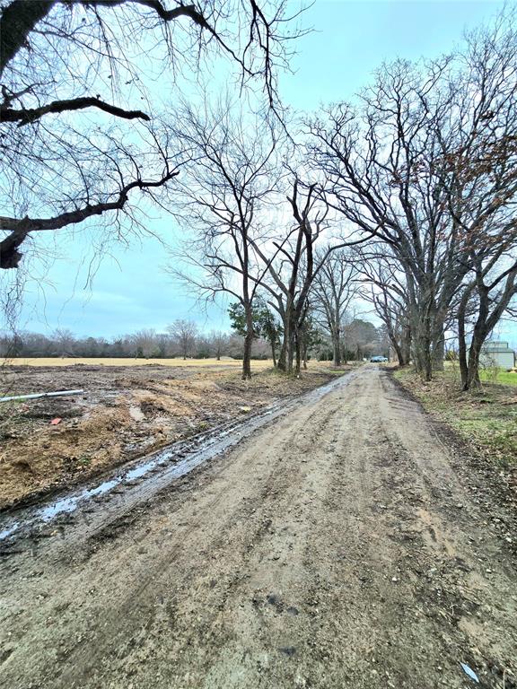 2245 Emory Tx 75440 Emory, TX 75440 - Photo 3 of 4 a view of dirt yard with a tree