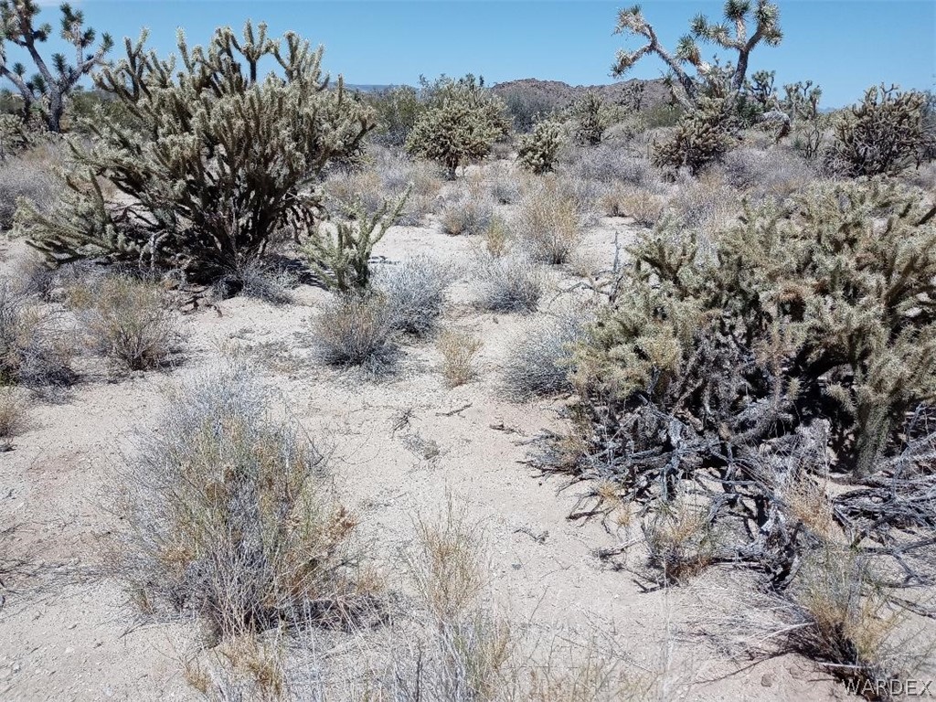 11869 Sherry Road Yucca, AZ 86438 - Photo 5 of 16 a view of a dry field with trees in the background
