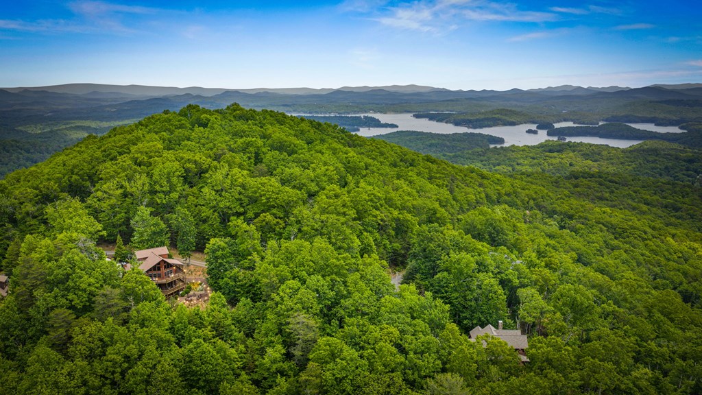 58 Overlook Drive Blue Ridge, GA 30513 - Photo 4 of 67 Gallery Image 4