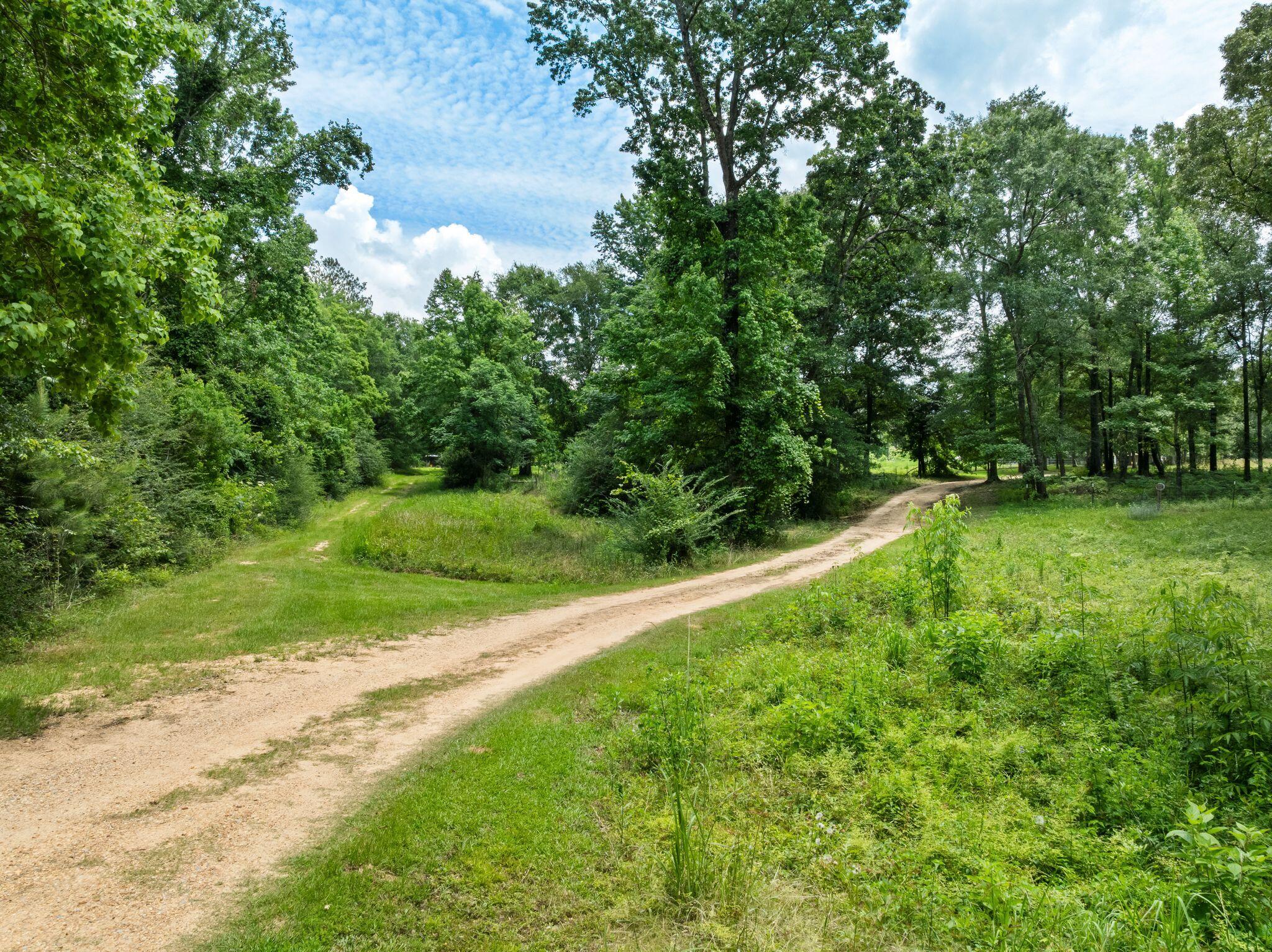 798 Purvis Oloh Road Purvis, MS 39475 - Photo 5 of 67 798_Purvis_Oloh_Road-3